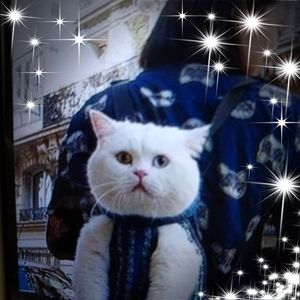 Meet your Posher, Elky